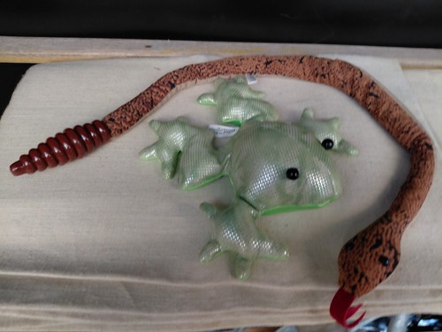 Frosch und klapperschange - frosch,