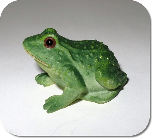 Miniatur frosch kröte unke - frosch,, kröte,
