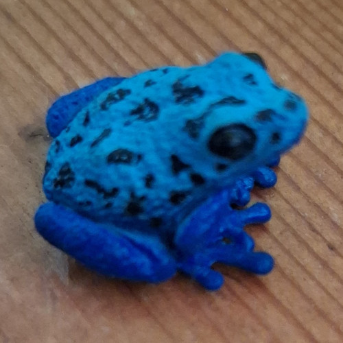 Schleich kleiner blauer - schleich, *
