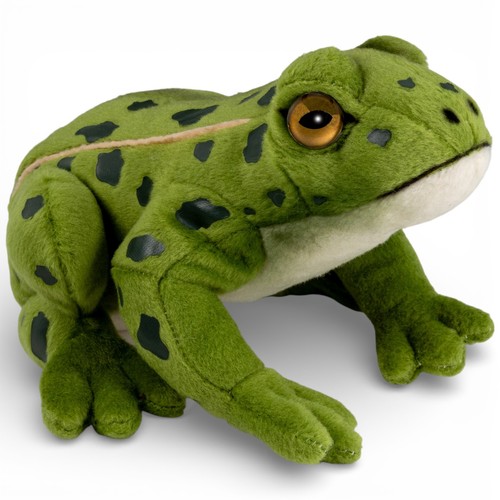 Carl dick frosch - carl,