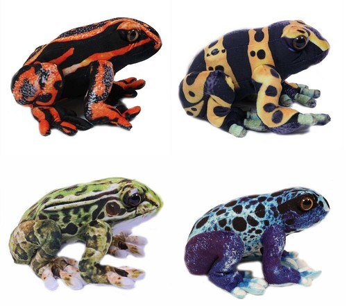 Plüschtier frosch 24cm - frosch,