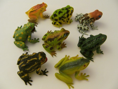 Frösche 8erset frosch - frösche,