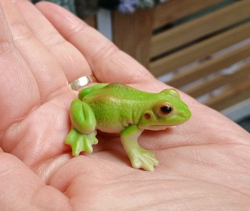 Schleich frosch 14407 - schleich,