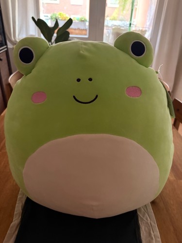 Squishmallow wendy frosch - wendy,